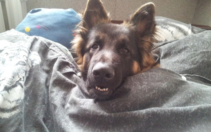 Zbiórka Pomoc dla Arona - zdjęcie główne