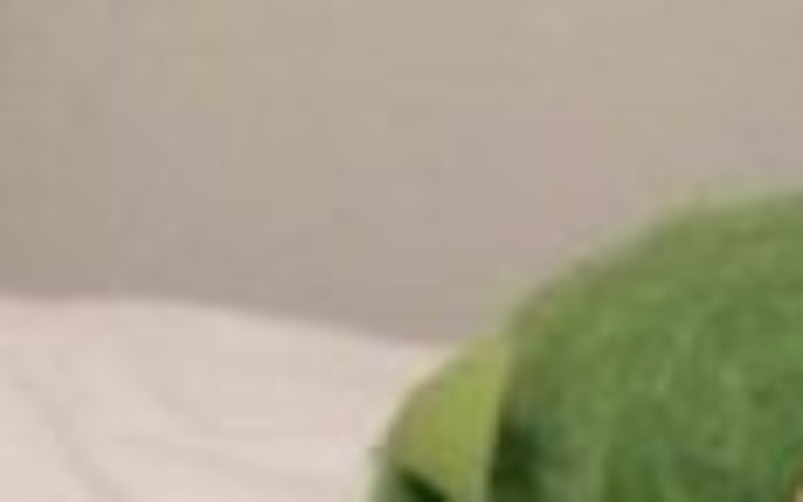 Zbiórka do urodzin 4fun - zdjęcie główne