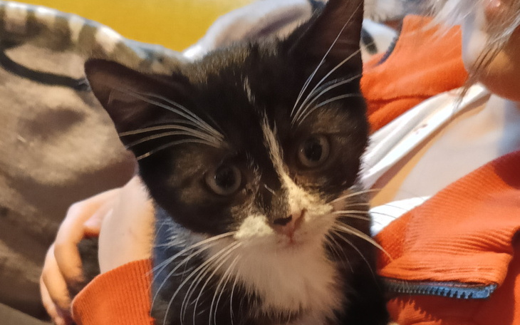 Zbiórka Mały Dyzio prosi o pomoc - zdjęcie główne