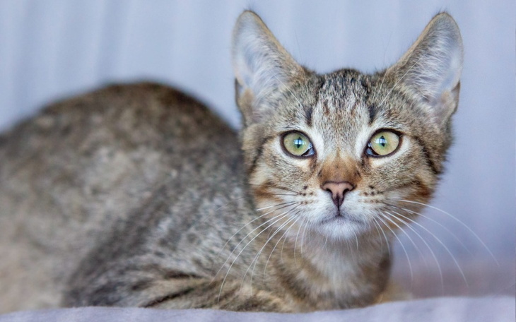 Zbiórka Mruczarnia, styczeń - zdjęcie główne