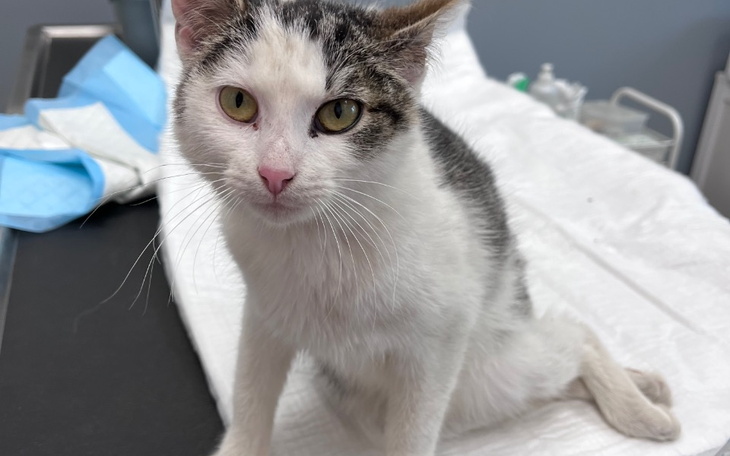 Zbiórka Rezonans operacja kręgosłupa SOS - zdjęcie główne