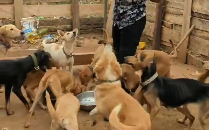 Zbiórka Schronisko w Ugandzie - zdjęcie główne