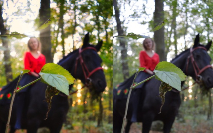 Zbiórka Fotografia to moja pasja - zdjęcie główne