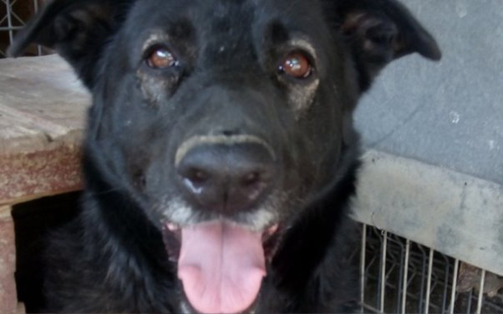 Zbiórka Wirka będzie miała dom - zdjęcie główne