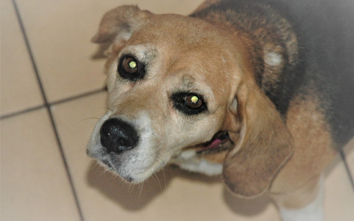 Zbiórka Lenka - zdjęcie główne