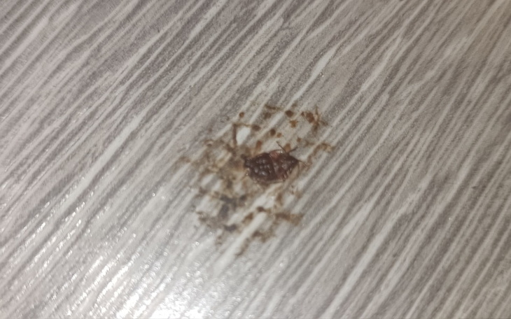 Zbiórka Sffggg - zdjęcie główne