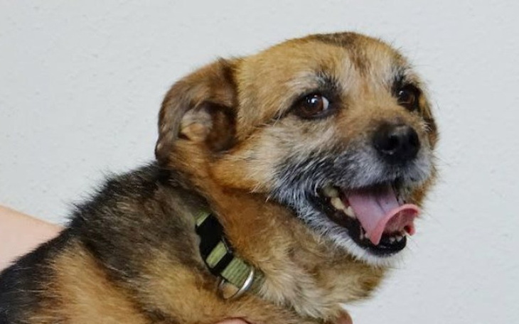 Zbiórka Włodek i jego walka o sprawność - zdjęcie główne