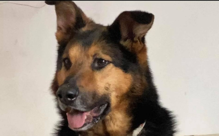 Zbiórka Totalna ekstrakcja zębów - zdjęcie główne