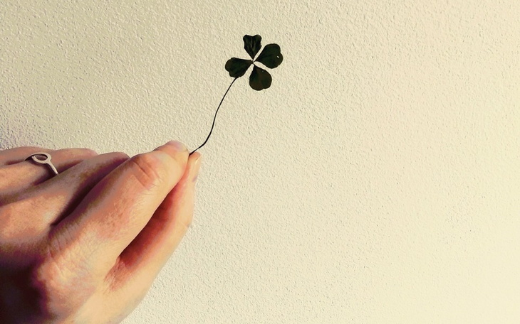 Zbiórka Prawdziwą siłą jest wrażliwość - zdjęcie główne