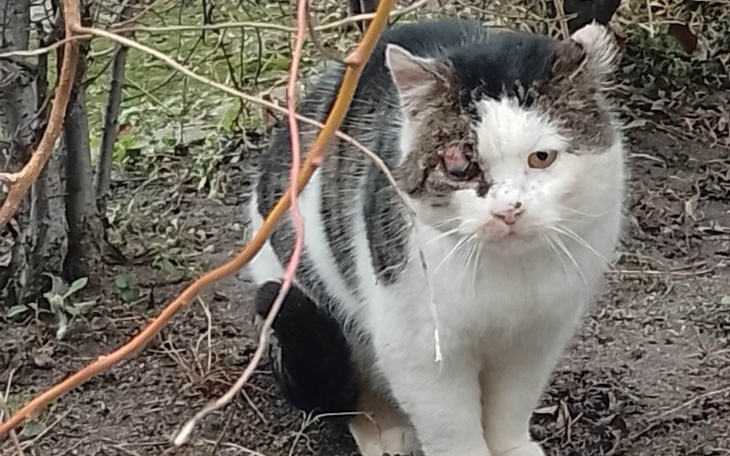 Zbiórka Wiosna 2023 - zdjęcie główne