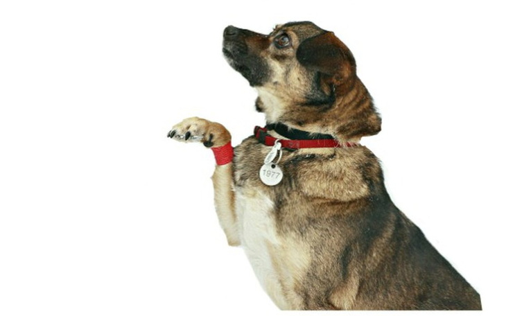 Zbiórka Duszę się! Ciężko mi oddychać. - zdjęcie główne