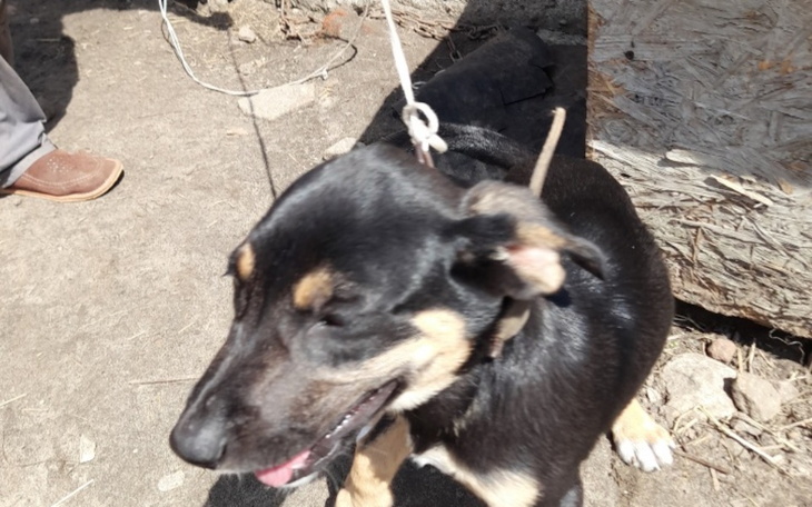 Zbiórka Na nowy start dla dzieciaków - zdjęcie główne