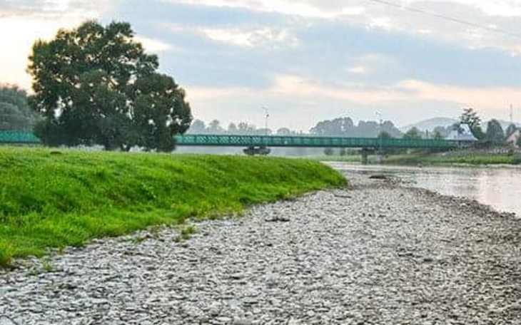 Zbiórka Projekt domu - zdjęcie główne