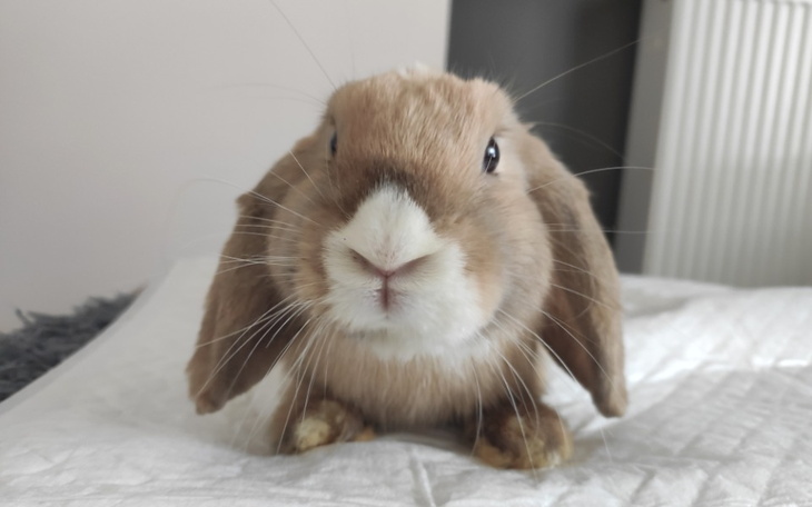 Zbiórka Pomóżmy Wasylowi stanąć na skoki - zdjęcie główne