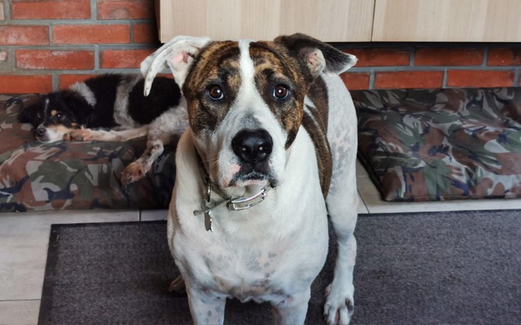 Zbiórka Pobyt Aro w hoteliku - zdjęcie główne