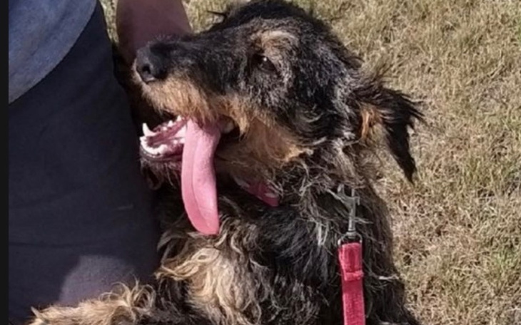 Zbiórka Na transport Iskry z Węgrowa - zdjęcie główne