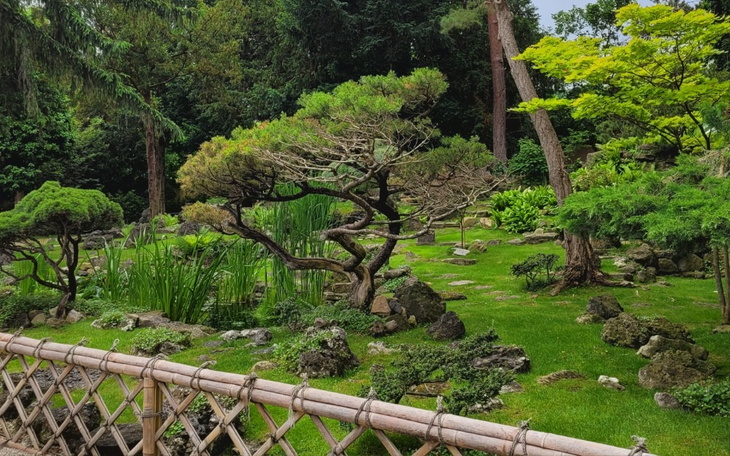 Zbiórka Wesprzyj moje marzenia - zdjęcie główne