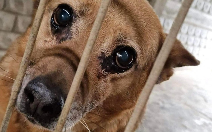 Zbiórka Droga po nowe życie Łezki - zdjęcie główne