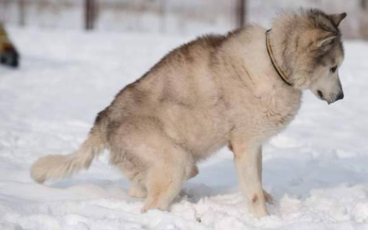 Zbiórka Dziadunio Baron - zdjęcie główne