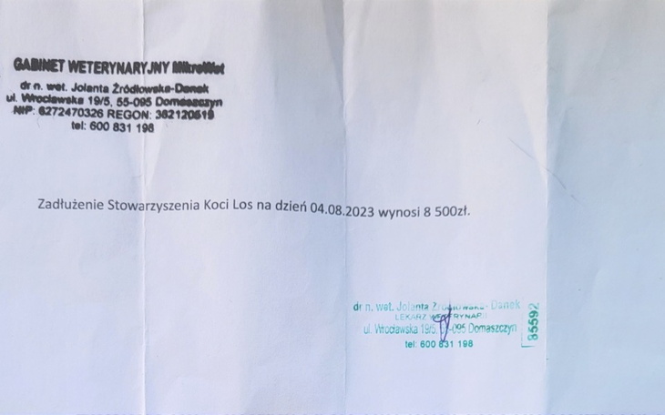 Zbiórka Na spłatę zadłużenia w klinice - zdjęcie główne