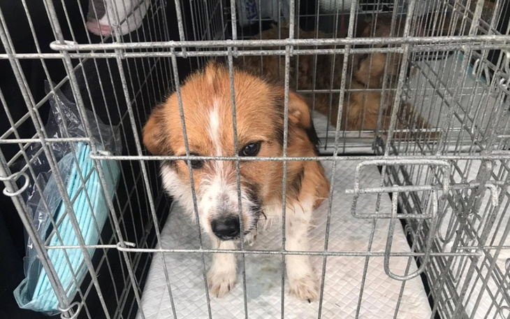 Zbiórka Pomagamy w drodze do Domu - zdjęcie główne