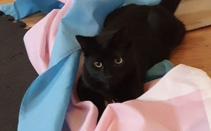 Zbiórka Zbieram na binder.. - zdjęcie główne