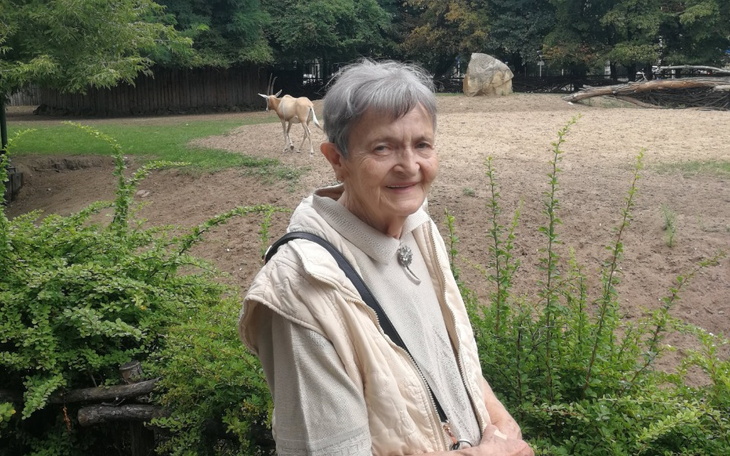 Zbiórka Babcia Alinka prosi o wsparcie - zdjęcie główne