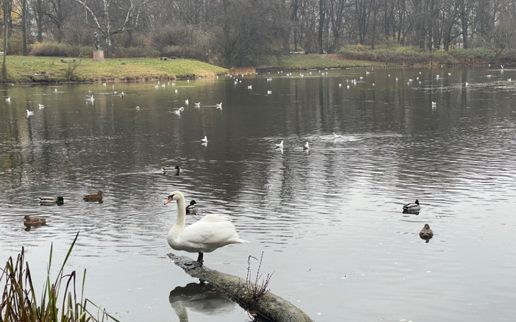 Zbiórka Na spłatę pętli długów po raku - zdjęcie główne
