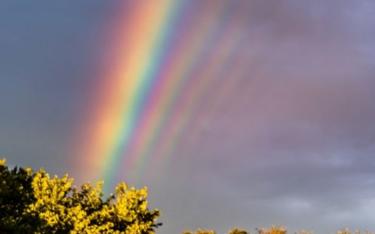 Zbiórka Depresja czy ja... kto wygra - zdjęcie główne