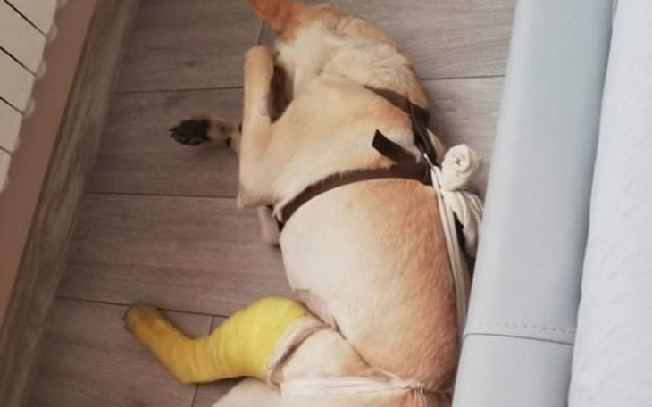 Zbiórka Operacja naprawy złamania kości - zdjęcie główne