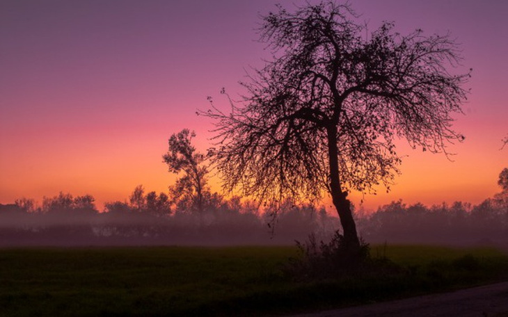 Zbiórka Młody Z Pasją - zdjęcie główne