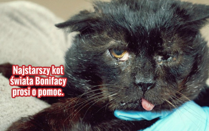 Zbiórka Pomóż Bonifacemu. - zdjęcie główne