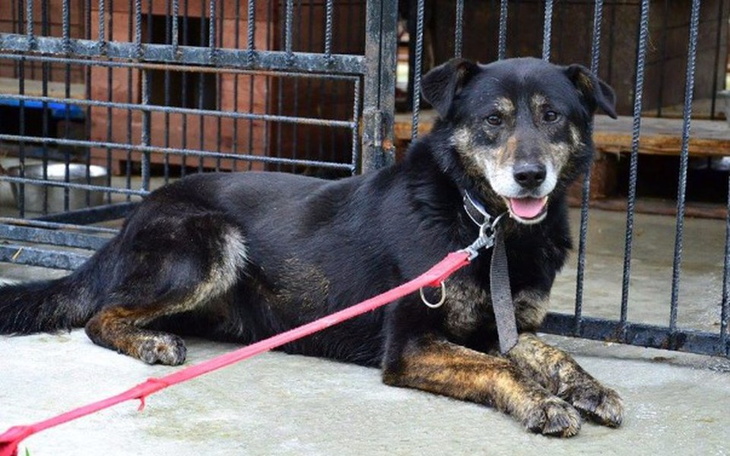 Zbiórka TANGO chce dojechać do domu. - zdjęcie główne