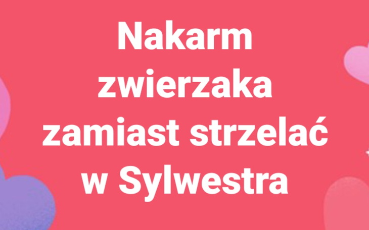 Zbiórka Nakarm zwierzaka. - zdjęcie główne