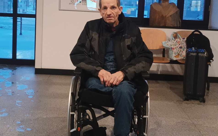 Pies rasy amstaff leżący na kanapie, zrelaksowany.