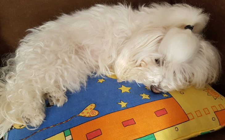 Zbiórka POTRZEBNA droga OPERACJA-POMOCY! - zdjęcie główne