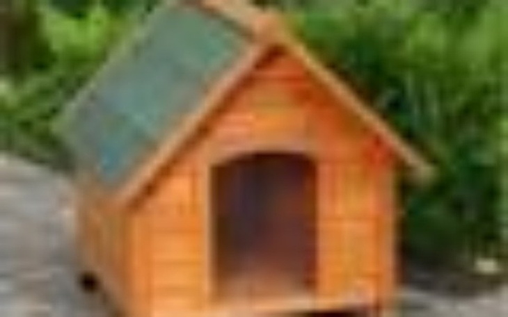 Zbiórka Ocieplane budy dla psów - zdjęcie główne