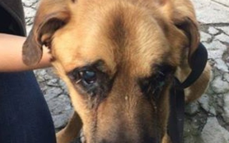 Zbiórka Leczenie Prezesa. - zdjęcie główne