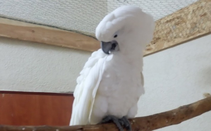 Zbiórka Trudna sytuacja - zdjęcie główne