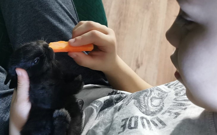 Zbiórka Zbiórka na rehabilitację Dawidka - zdjęcie główne