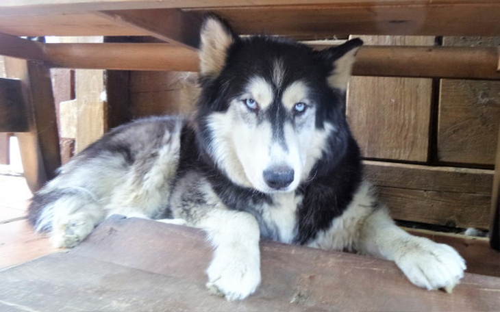 Zbiórka odmienić ich los - zdjęcie główne