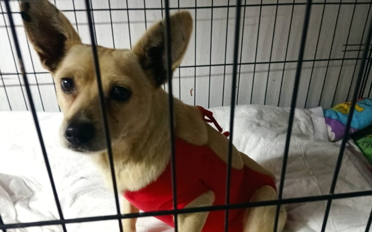 Zbiórka Po lepsze życie. - zdjęcie główne