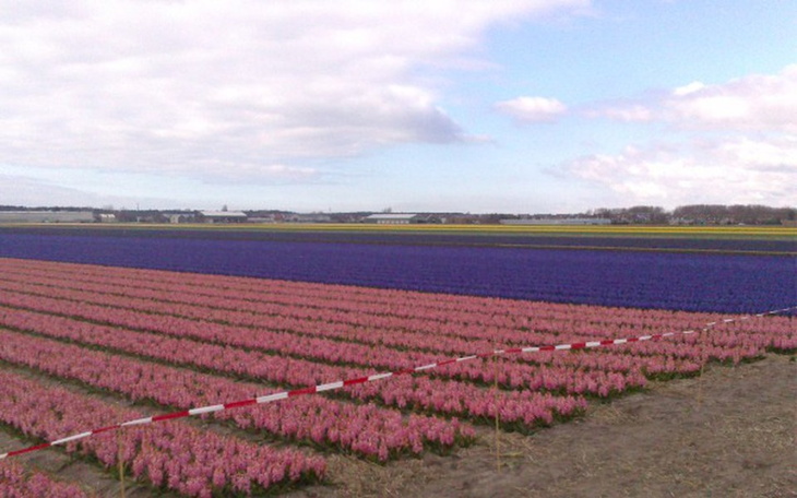 Zbiórka Pomoc dla Michal na nowe zycie - zdjęcie główne