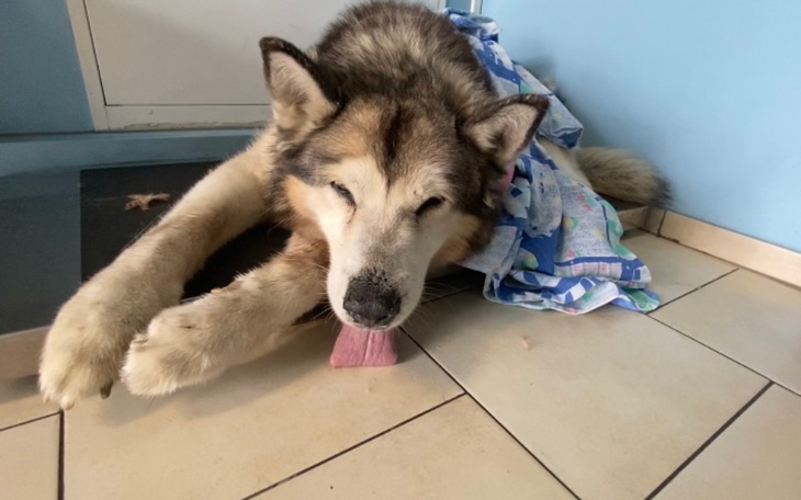 Zbiórka Konał sam bo przecież jest stary - zdjęcie główne