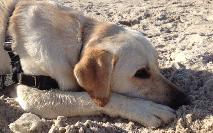 Zbiórka Na uniknięcie windykacji - zdjęcie główne