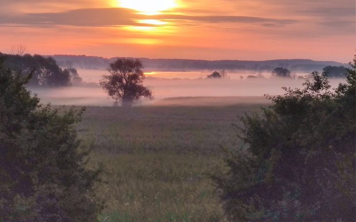 Zbiórka zakup samochodu elektrycznego - zdjęcie główne