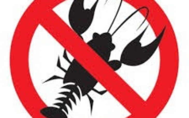 Zbiórka Walka z nowotworem nerek - zdjęcie główne