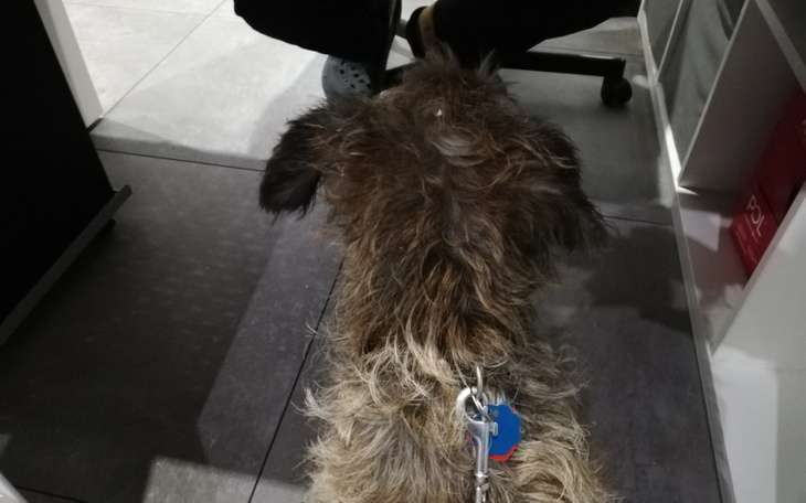 Zbiórka Byłem grzeczny, czekam na ciacho - zdjęcie główne