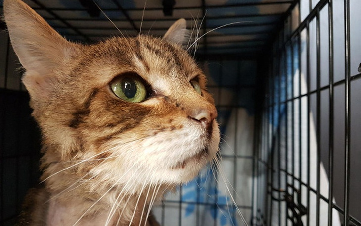 Zbiórka 18letni Burasek - zdjęcie główne