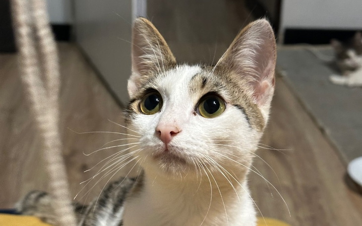 Zbiórka Ratuj mnie Pomóż mi żyć - zdjęcie główne